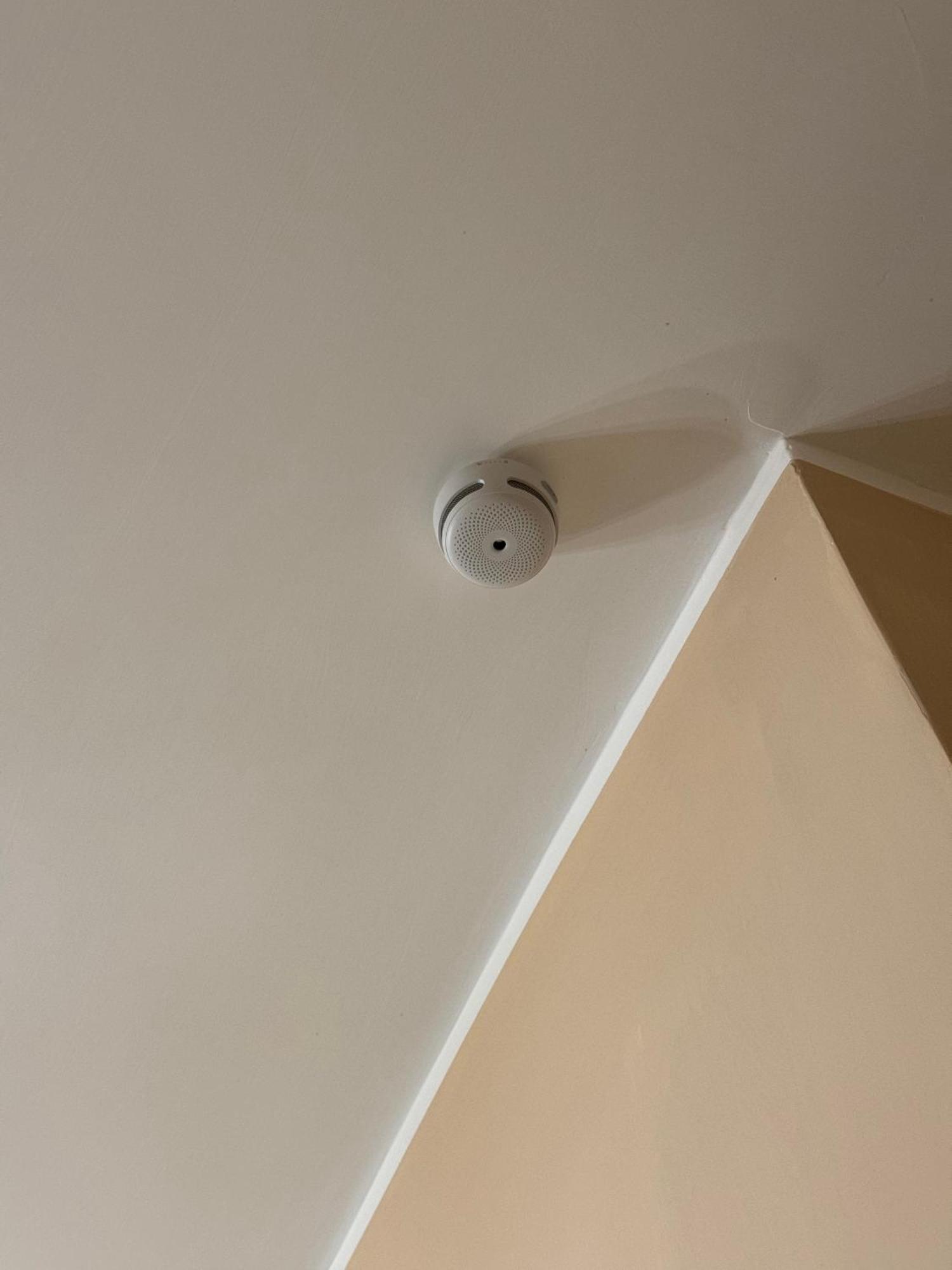 רומא Diamond Vatican Apartment מראה חיצוני תמונה